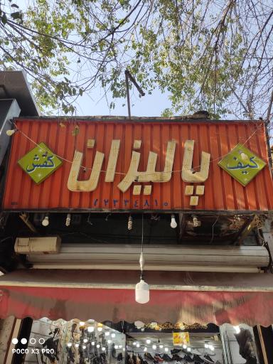 کفش پالیزان