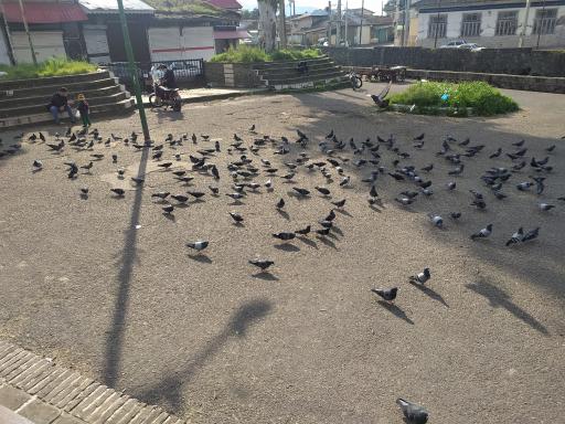 عکس بقعه آقا سید حسین