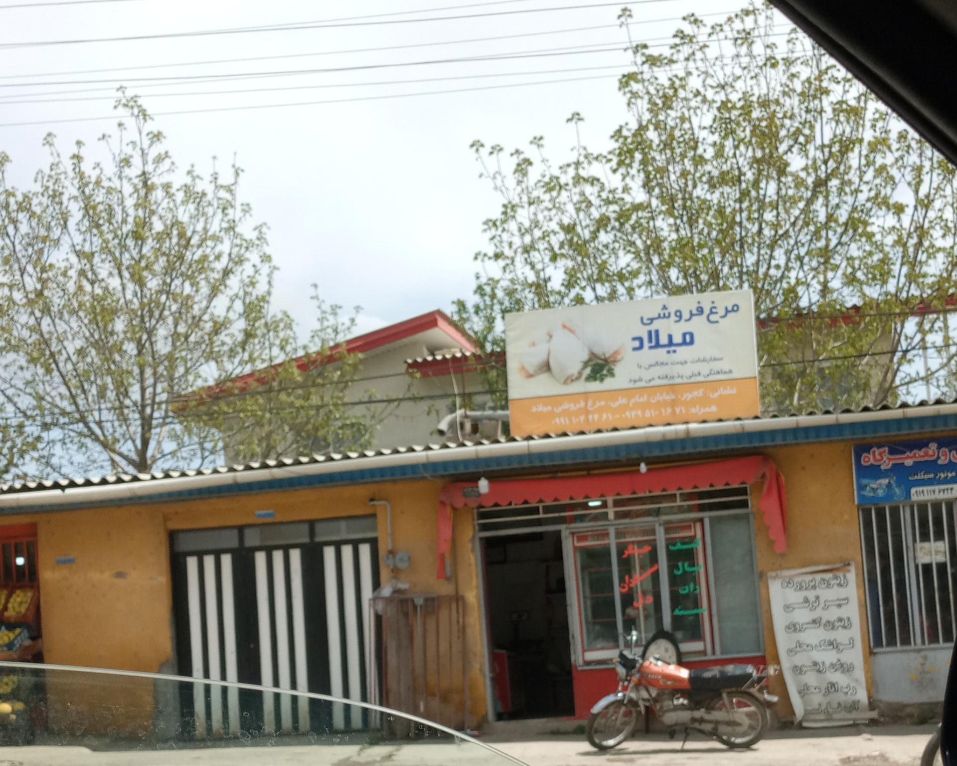 عکس مرغ فروشی میلاد کجور
