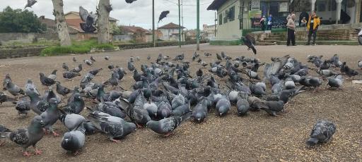 بقعه آقا سید حسین