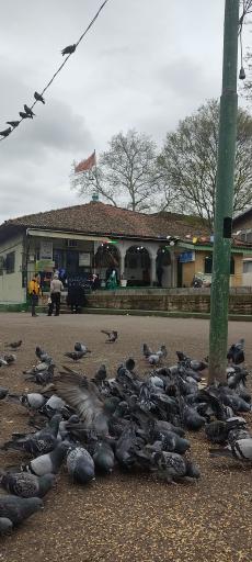 عکس بقعه آقا سید حسین