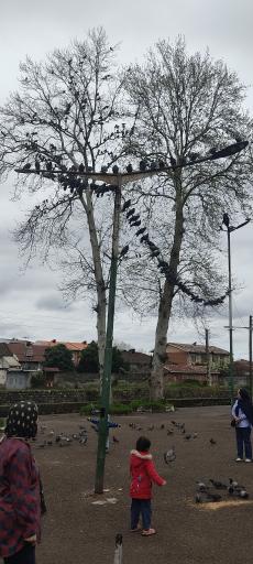 بقعه آقا سید حسین