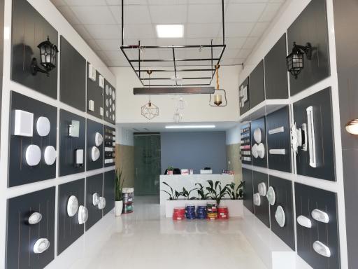 عکس کالای برق اولیائی