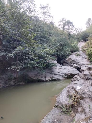 عکس ساسنگ