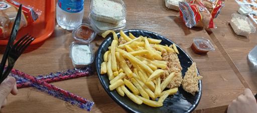 عکس فست فود و سوخاری داک