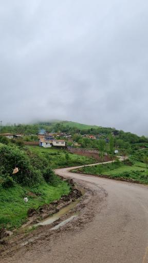عکس ساسنگ