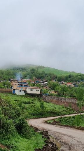 عکس ساسنگ