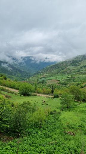 عکس ساسنگ
