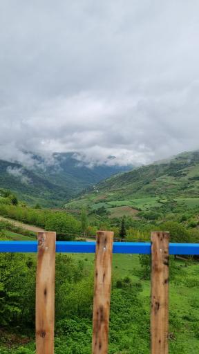 عکس ساسنگ