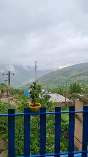 عکس ساسنگ