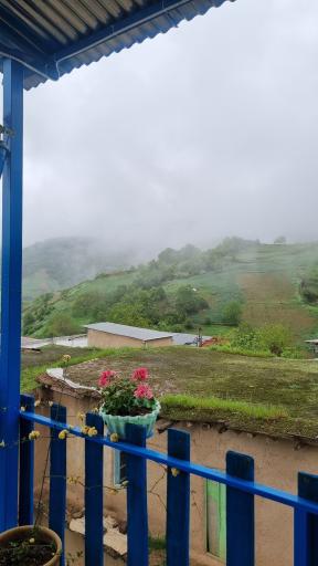 عکس ساسنگ