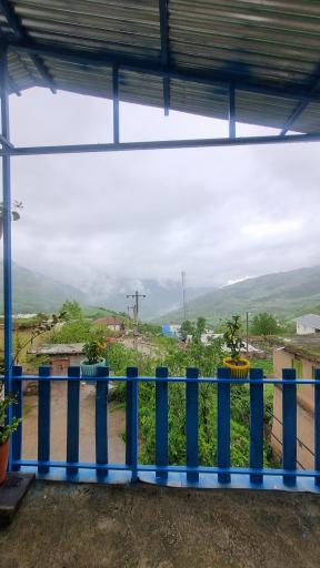 عکس ساسنگ