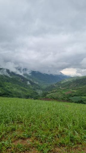 عکس ساسنگ