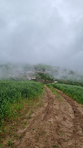 عکس ساسنگ