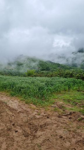 عکس ساسنگ