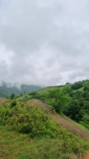 عکس ساسنگ