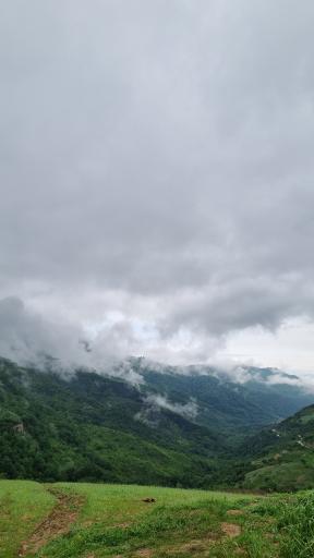 عکس ساسنگ