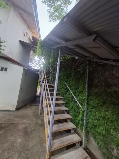 عکس باغ صوفیانی