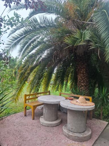 عکس باغ صوفیانی