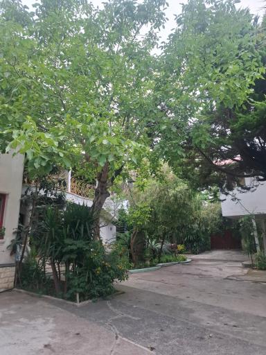 عکس باغ صوفیانی