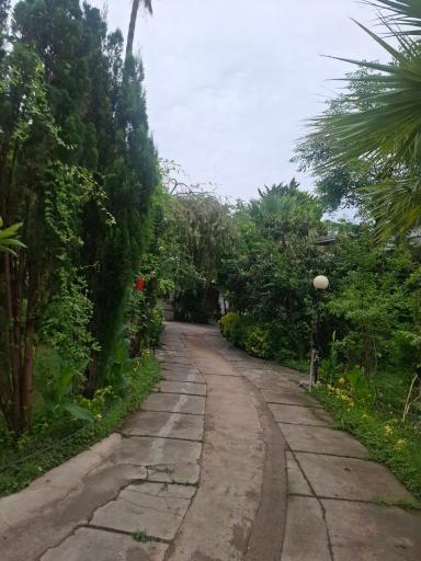 عکس باغ صوفیانی
