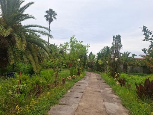 عکس باغ صوفیانی