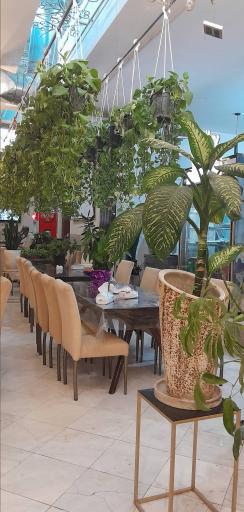 عکس رستوران دکتر کباب آریا (ردکا)