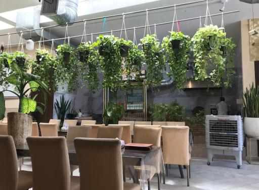 عکس رستوران دکتر کباب آریا (ردکا)