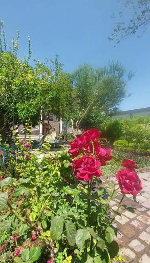 عکس خانه نیکدل