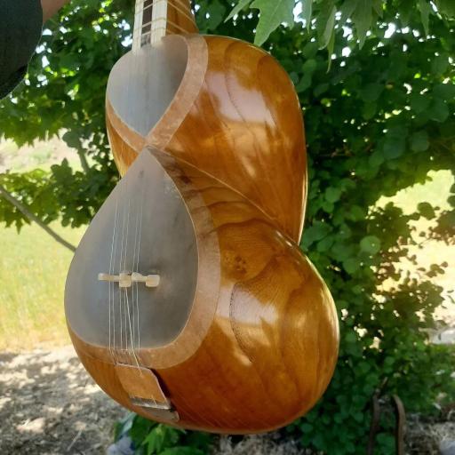 عکس تار و سه تار سنایی