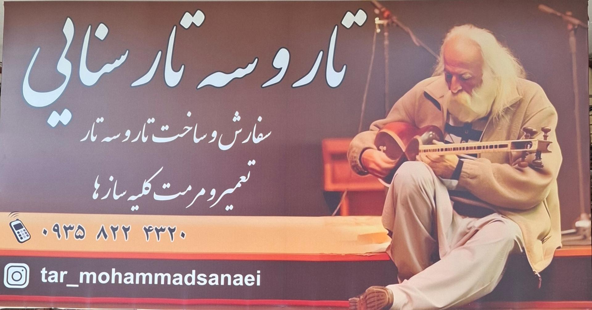 عکس تار و سه تار سنایی