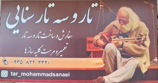 عکس تار و سه تار سنایی