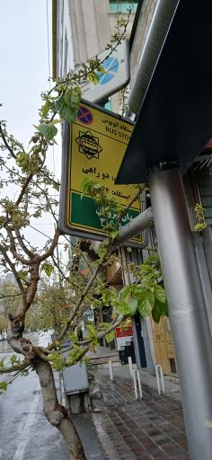 عکس دوراهی