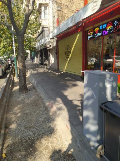 ساندویچ فیجان