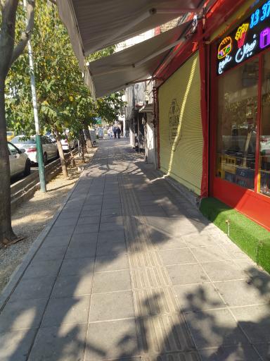 عکس ساندویچ فیجان