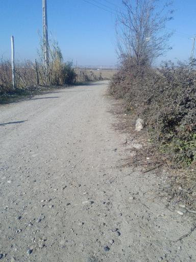 عکس رحیم کندی
