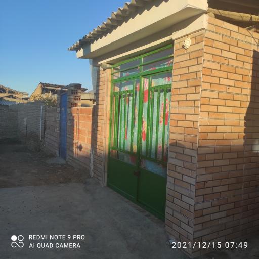 عکس کاموابافی رویا