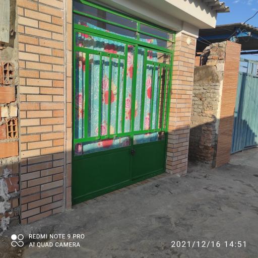 عکس کاموابافی رویا