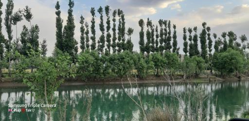 عکس چمگردان