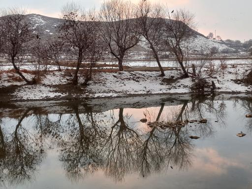 عکس چمگردان