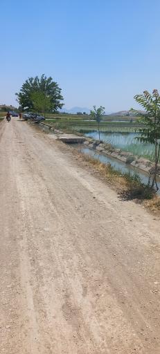 عکس چمگردان