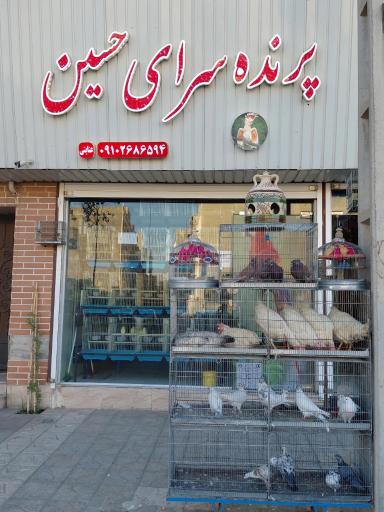 عکس پرنده سرای حسین