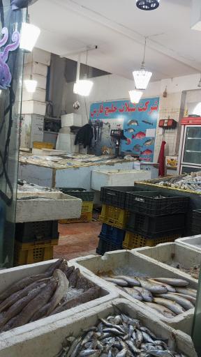 عکس ماهی فروشی سید مرتضی