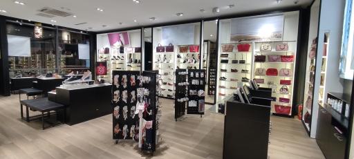 عکس کفش آلدو رویان