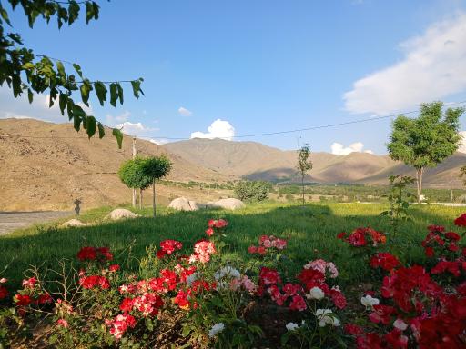 عکس تپه نورالشهدا