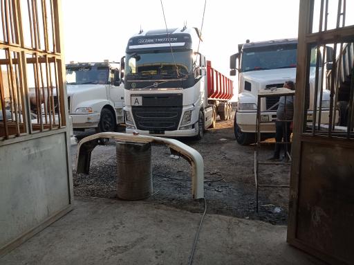 عکس اتو رنگ داود