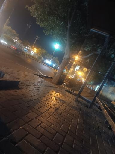 عکس  ابتدای بلوار حر