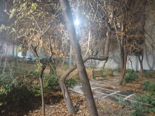 عکس پارک خانواده