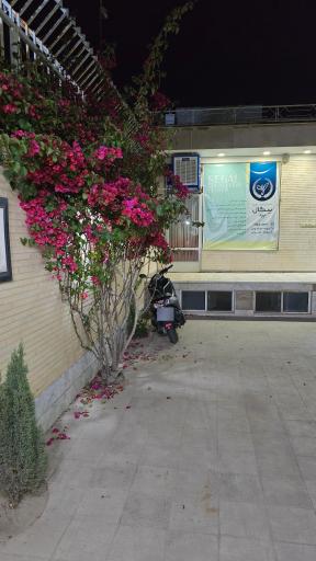 عکس مرکز مشاوره سگال یزد
