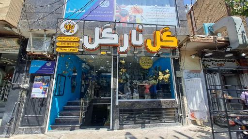 عکس گل نارگل 